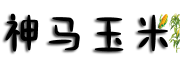 神马玉米